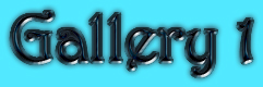 FREE GALLERY 1