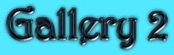 FREE GALLERY 2